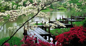 Јапонските градини – совршена симболика во просторот