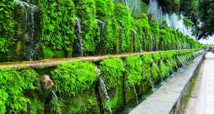Водата во градините и парковите