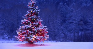 Божиќно дрво