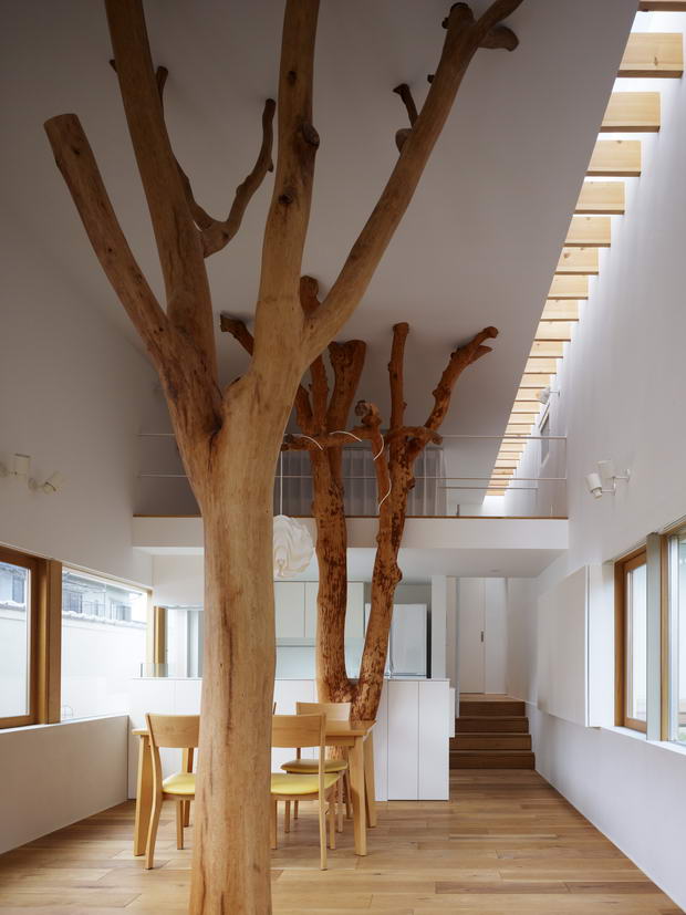 Garden Tree House (2)