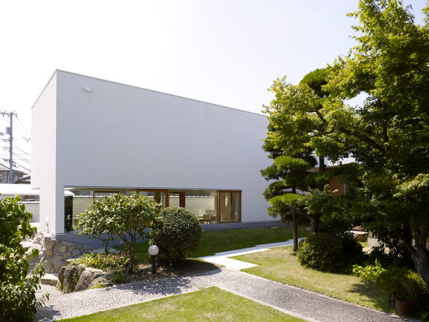 Garden Tree House (4)