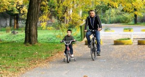 Нови липи по скопските улици