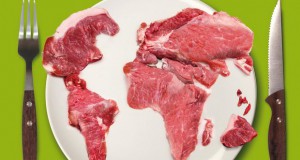 Производството на месо ја загрозува животната средина