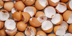 Лушпи од јајца како материјал во керамичката индустрија