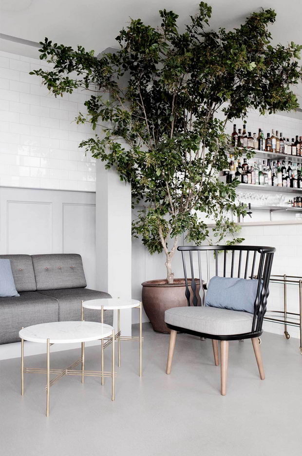 restoran i djez klub vo kopenhagen_3