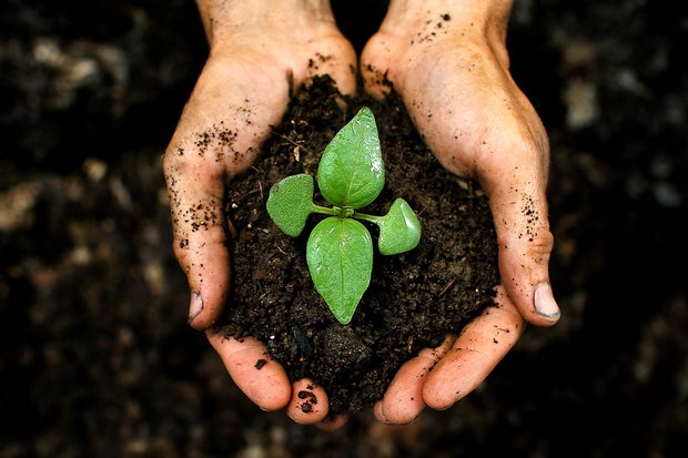 rsz_soil-hands-web
