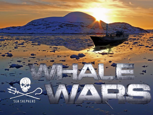 whale-wars-wallpaper