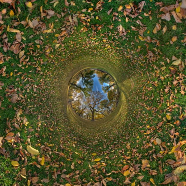 AUTUMN IN CENTRAL PARK