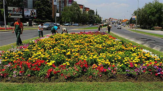 hortikultura_3
