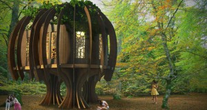 Куќарка на дрво која ги исполнува соништата на децата