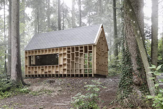 00-waldsetzkasten-bernd-riegger