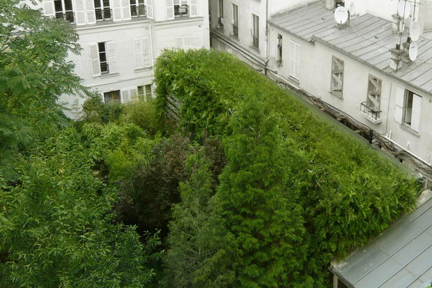 1395791878_paris344563c