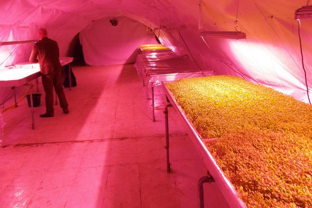 Underground_farm_02