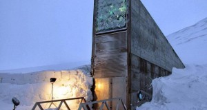 Најголемиот трезор за семиња во случај на Судниот ден