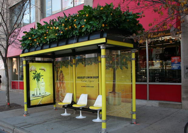 absolut_lemon_drop_bus_shelter