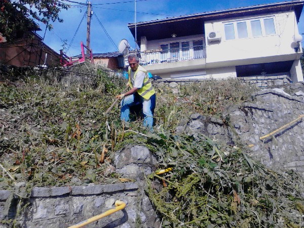zeleni povrsini vo ohrid