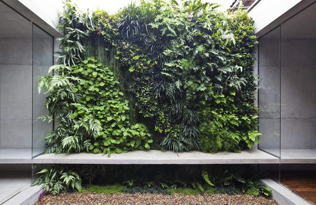 Alberto Studio_AR Architects (4)