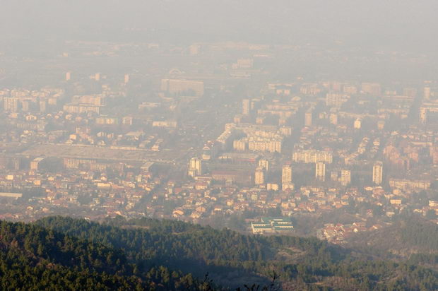 beli drobovi povorka skopje