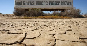 Калифорнија се бори со голема суша