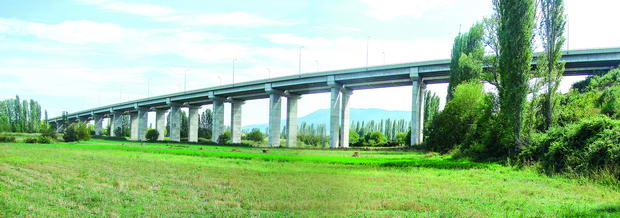 Orman