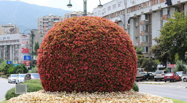 cvetna topka pred vmro_1