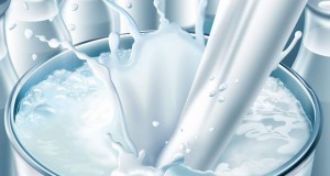 Афлатоксинот во млекото во Србија согласно ЕУ стандардите