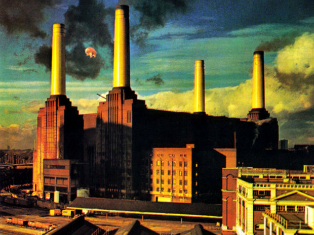 _battersea-animals r