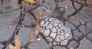 Светот во опасност од суши кои би можеле да траат со децении
