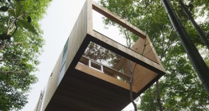 Куќа во Јапонија имитира куќарка за птици