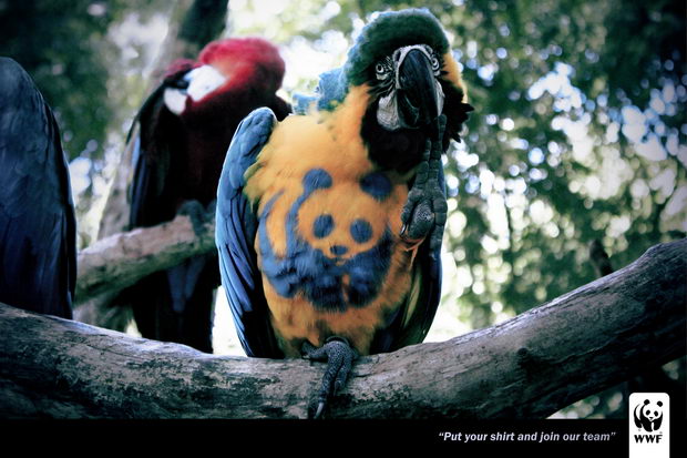 wwf_arara