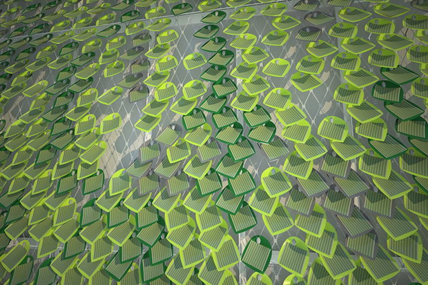 Solar-Ivy