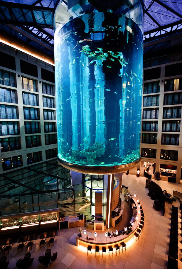 aquadom1