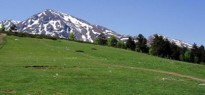 Ќе се гради најмодерниот ски-центар на Балканот на Шар Планина од страна на Косово