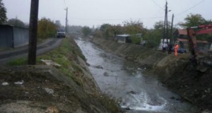 Чистење на реката Серава