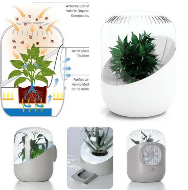 ANDREA-Air Purifier