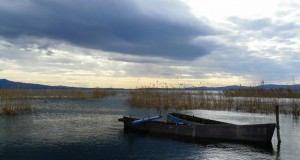 Продолжува проектот „Развивање на капацитети за одржливост на Дојранското Езеро“