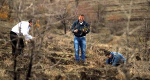 Утре „Ден на дрвото“ по 14 пат
