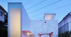 Цртежи со мотиви од азиската култура на фасади од модерни јапонски куќи
