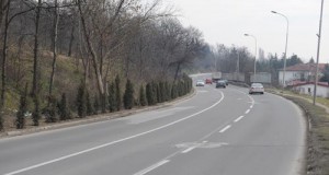 Засадени 220 туjи на булеварот „Никола Карев“