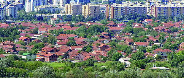 Divogradbi Lisice 01