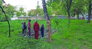 Трансформација на јавните и зелени простори во Скопје – тривијален иконографски фејслифтинг