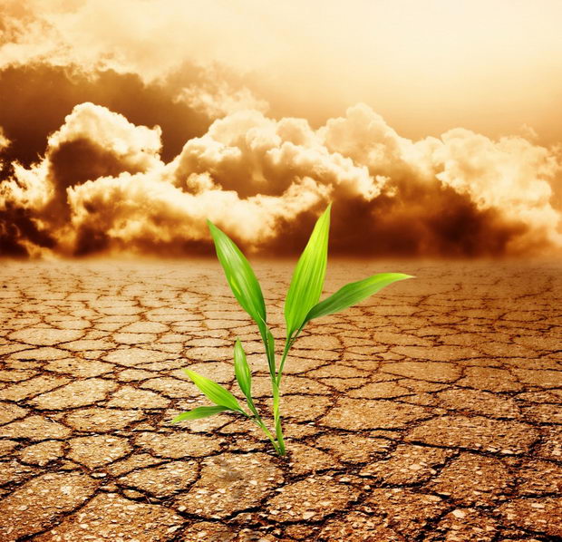 climate-change-and-ag-11-1024x988