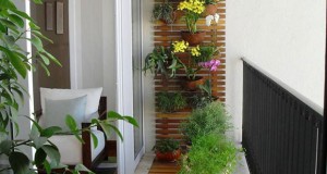 Креативни градинарски решенија за мали балкони