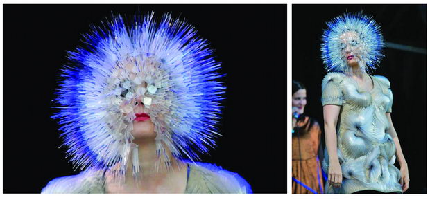 bjork vo moma_12