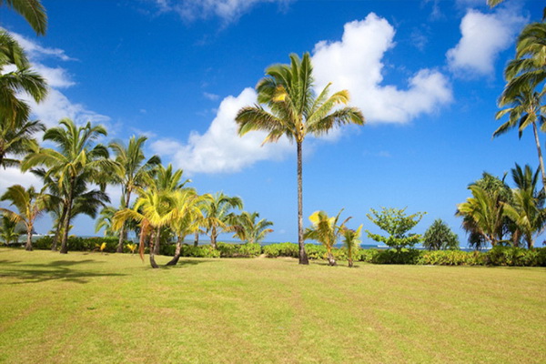 Julia Roberts' Hawaii Estate on Sale for $29.85 Million