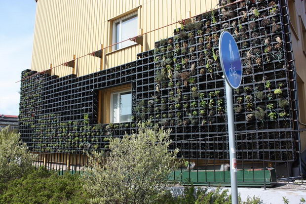 malme (2)