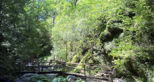 Ќе се електрифицира туристичката населба Равна река
