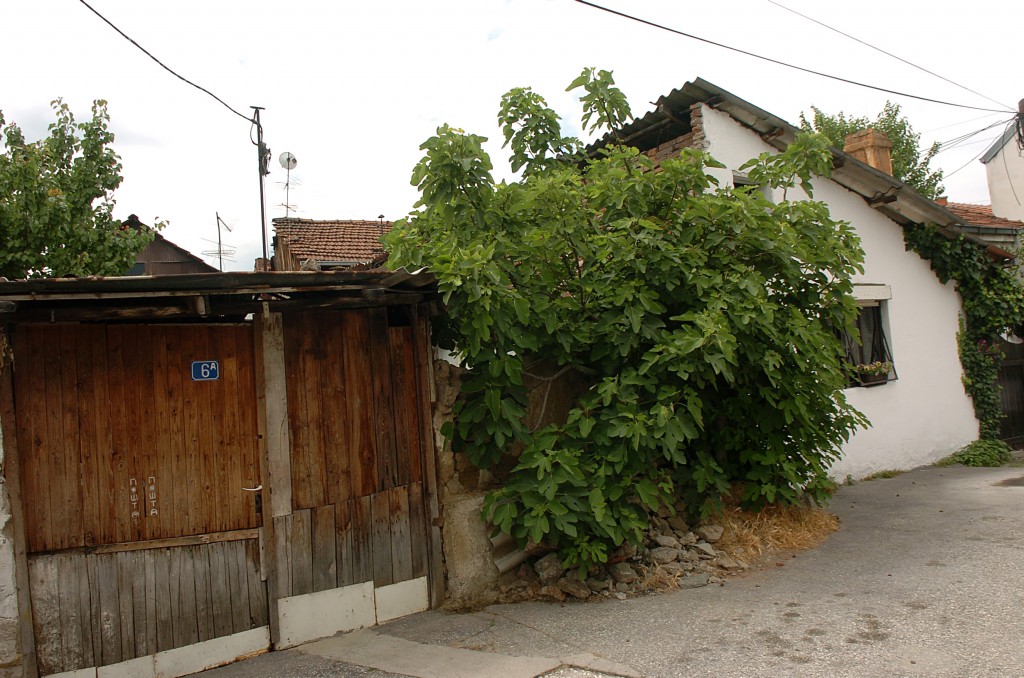 novo staro madzir maalo (31)