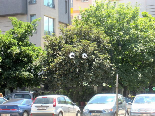 oci drvja (2)