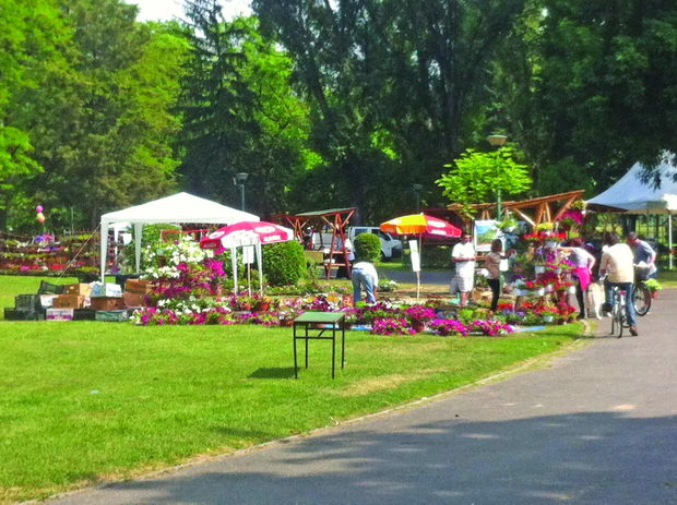 skopski cveten festival (8)